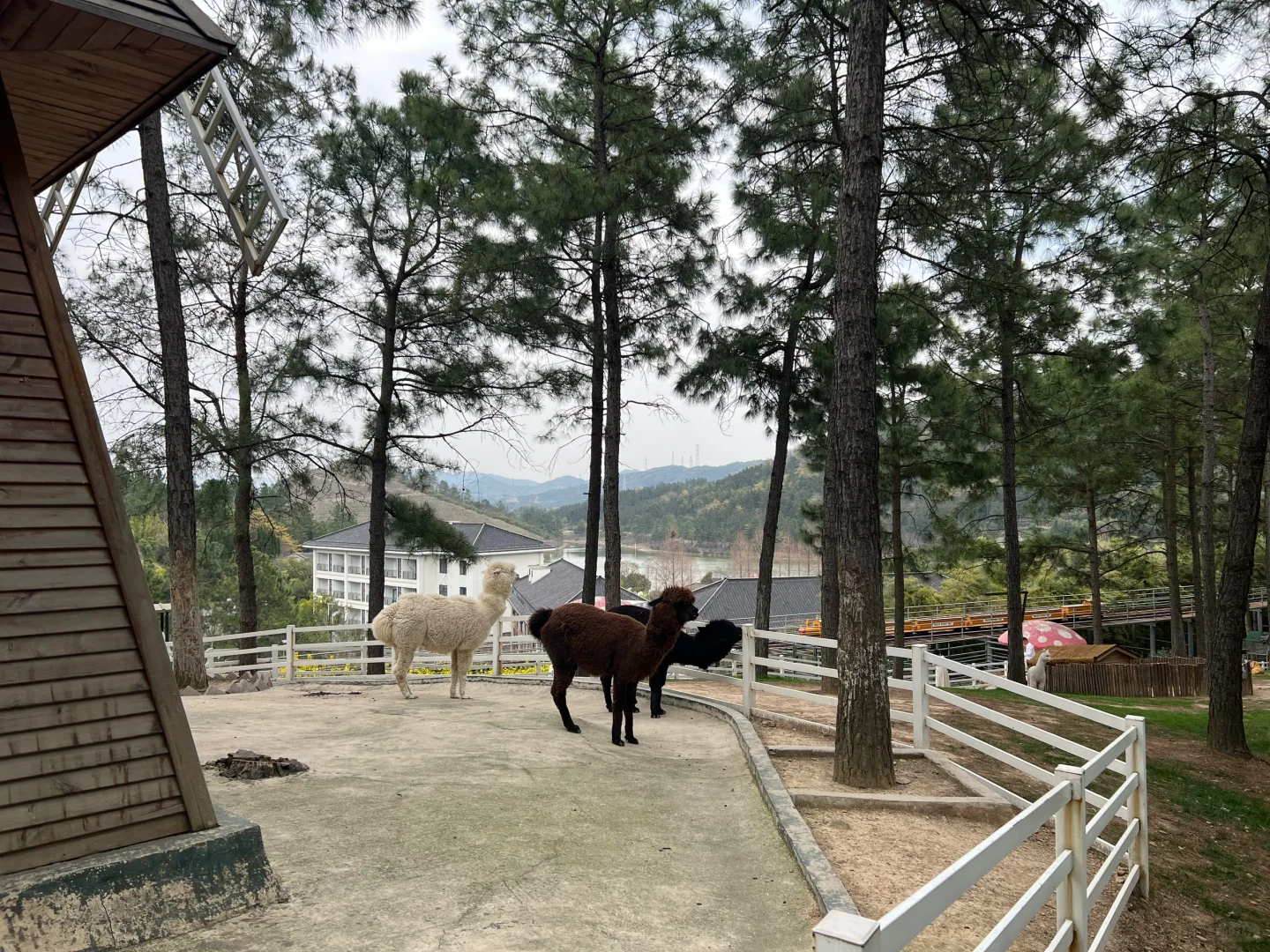 周末逃离江浙沪之三月赏桃花