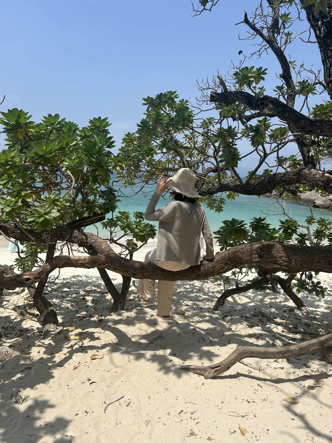 三亚旅游攻略🏝️