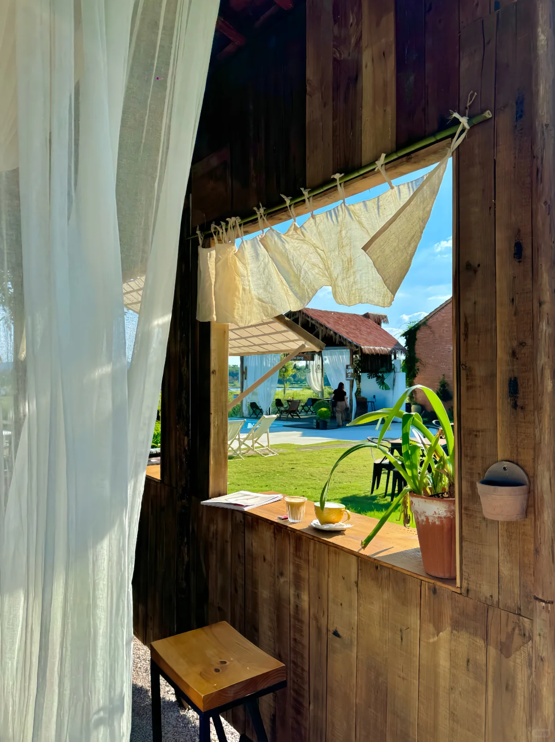 不是清迈！没去大理！这是南京…live😭