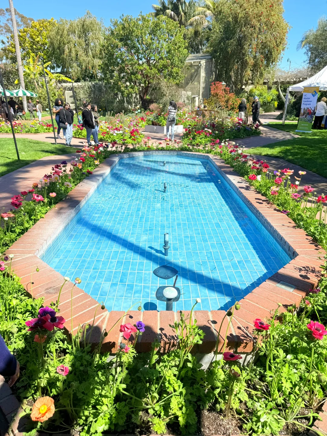 尔湾周边景点｜在Newport花的最值的5刀🌼