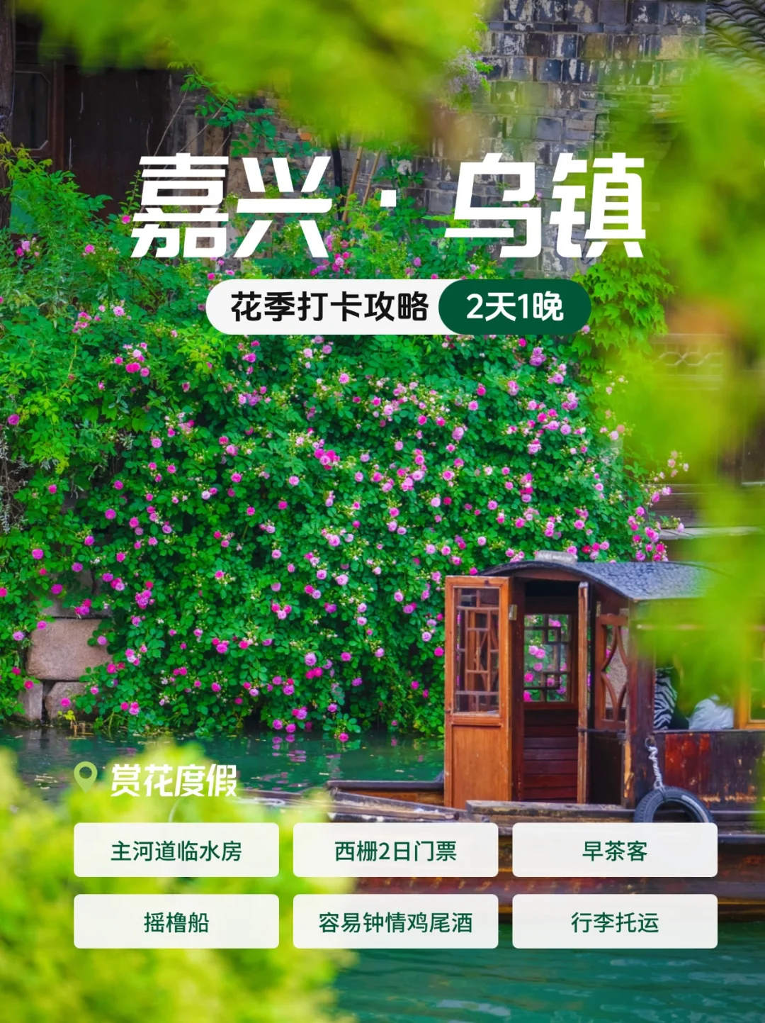 春日限定|收下这份乌镇赏花攻略💐