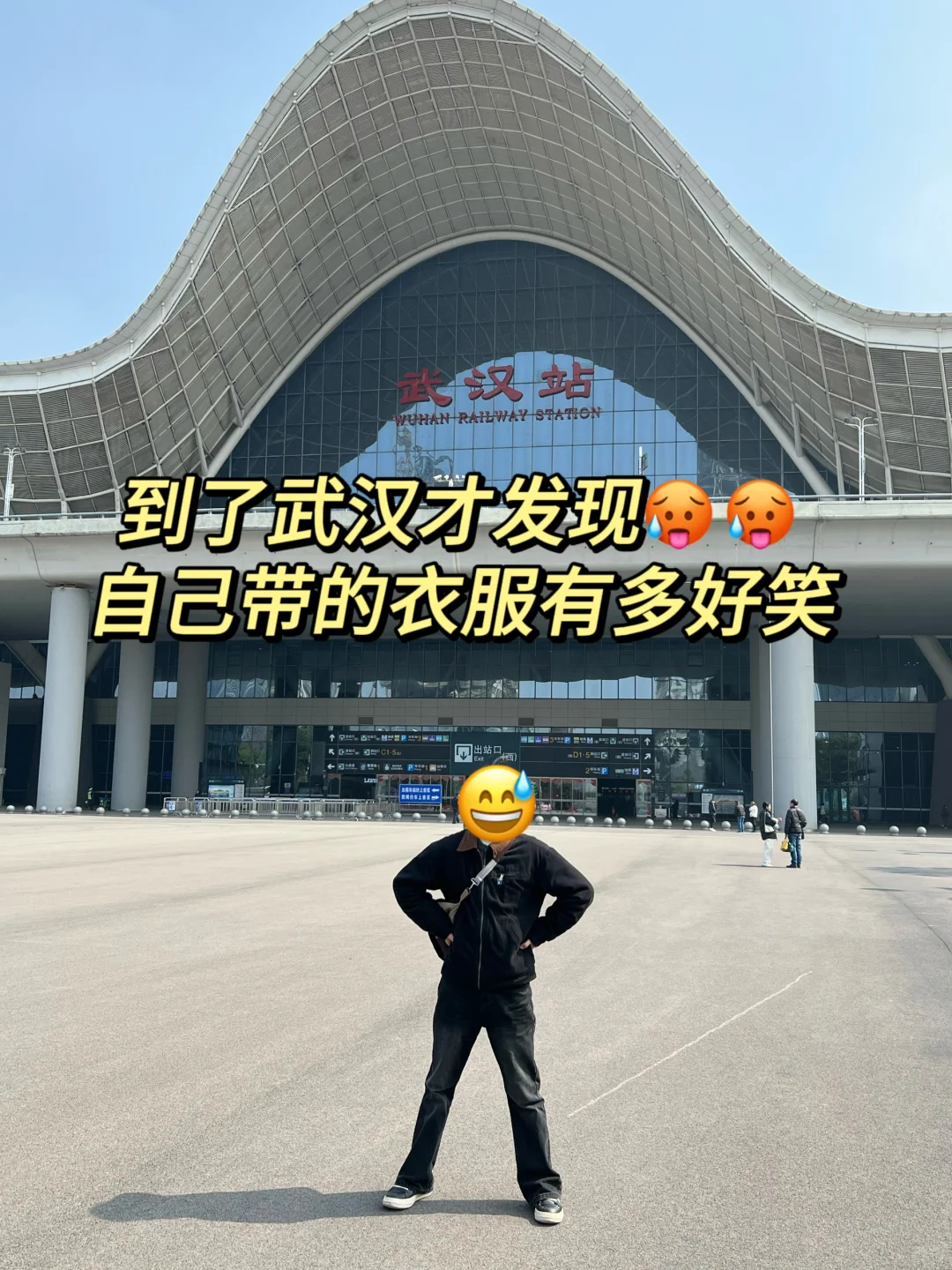 武汉已回….只想说一些难听的大实话……