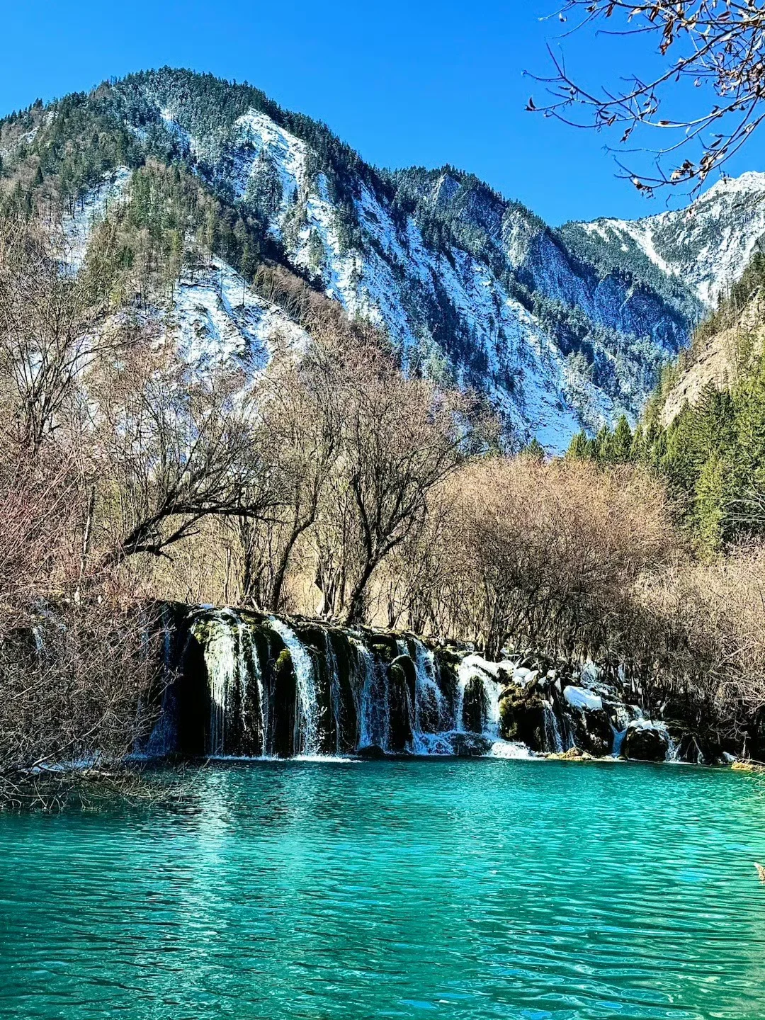 3.2📍九寨沟已回❗live实况➕真心建议❤