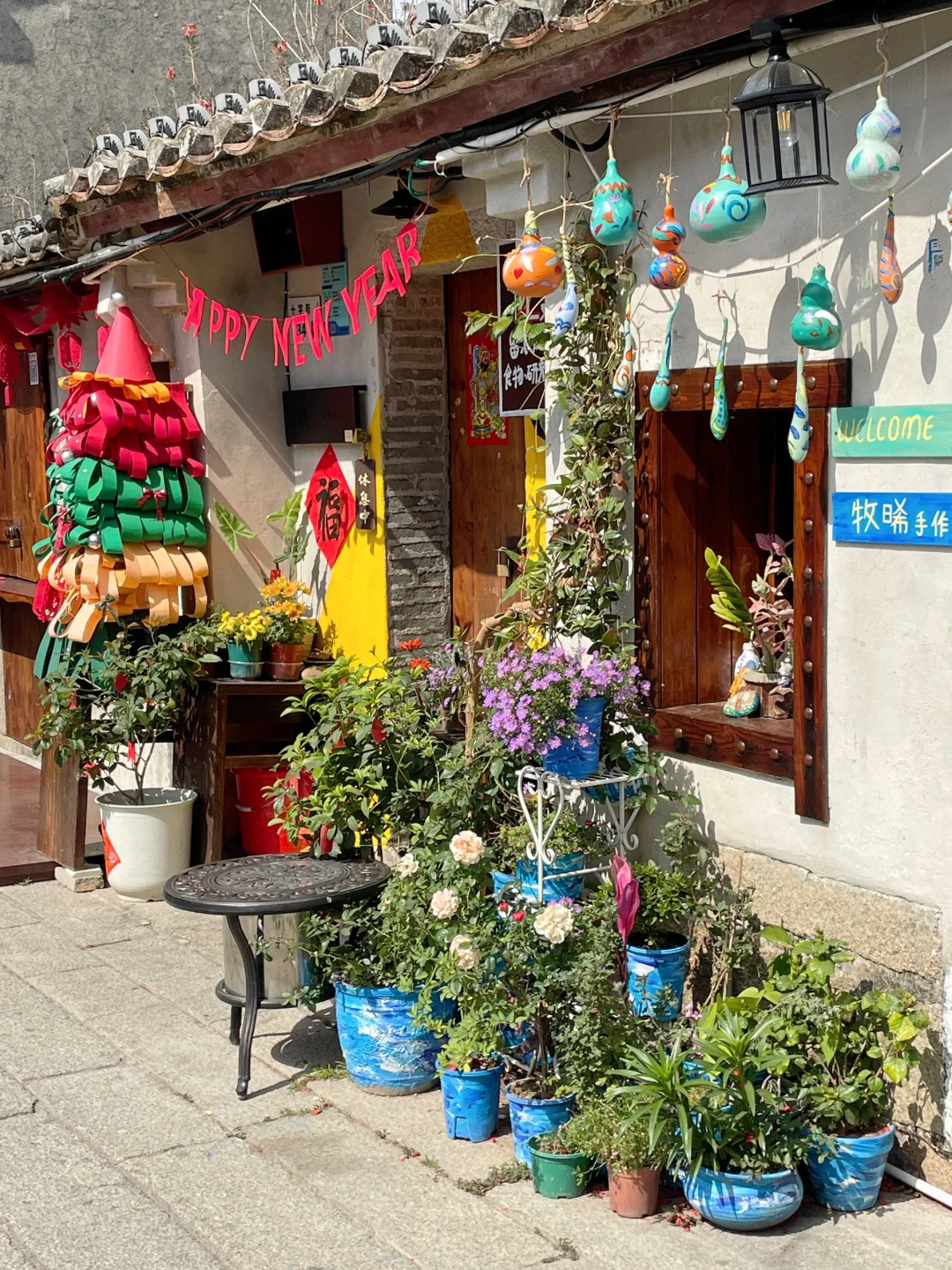 这里不是云南！是深圳！！这一次去有风的地方~