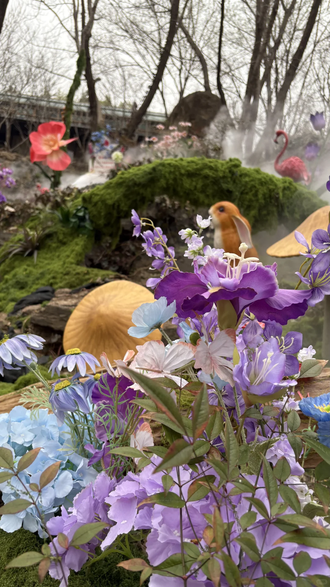 诚挚的给枣庄人一个建议