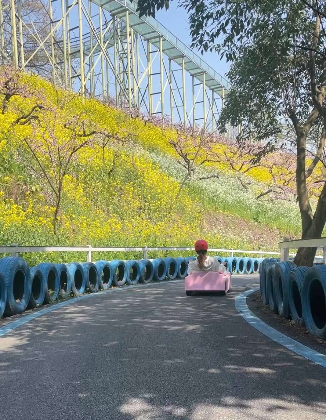 周末逃离江浙沪之三月赏桃花