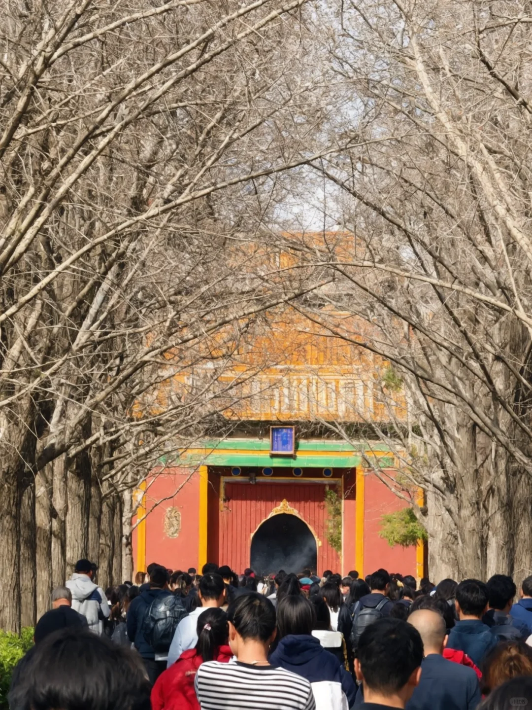 3.17📍北京遭罪已回，跟xhs说的两模两样