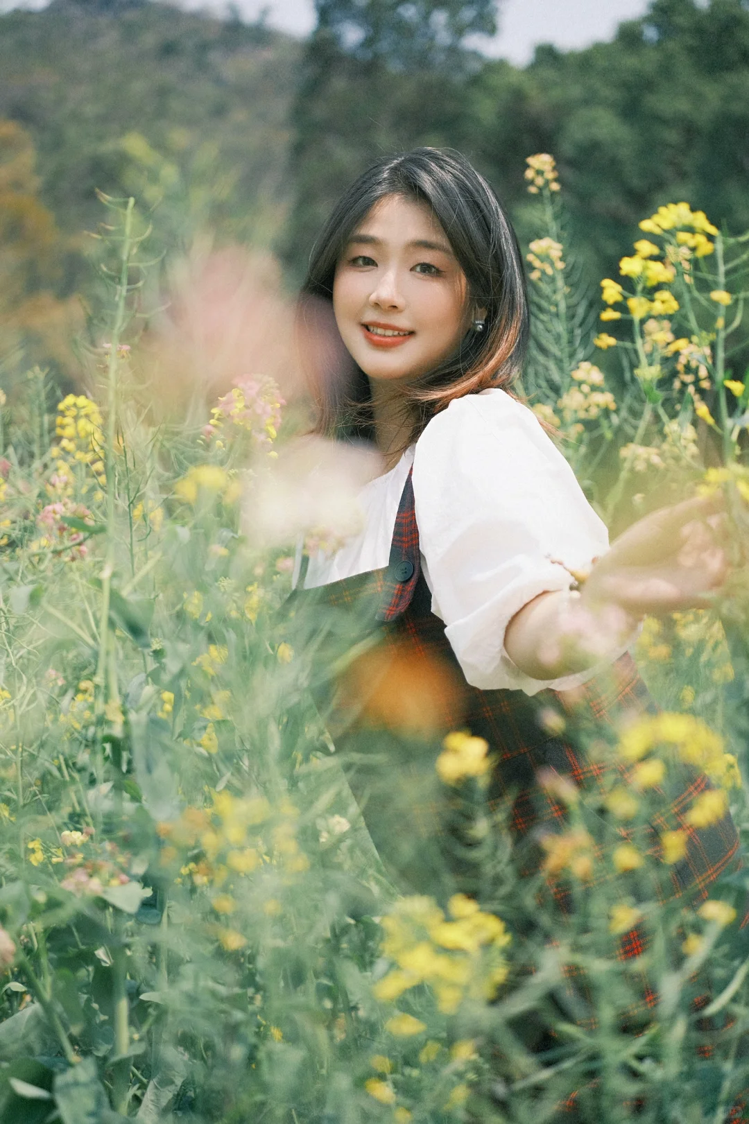 桂林西山公园油菜花