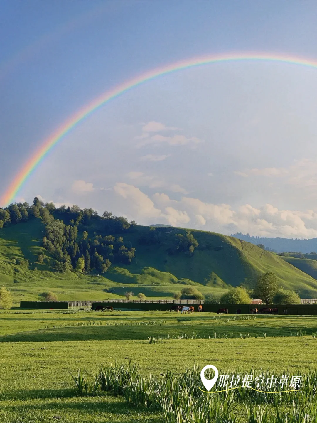 即将解封📍强推伊犁那拉提这个神级景点😭