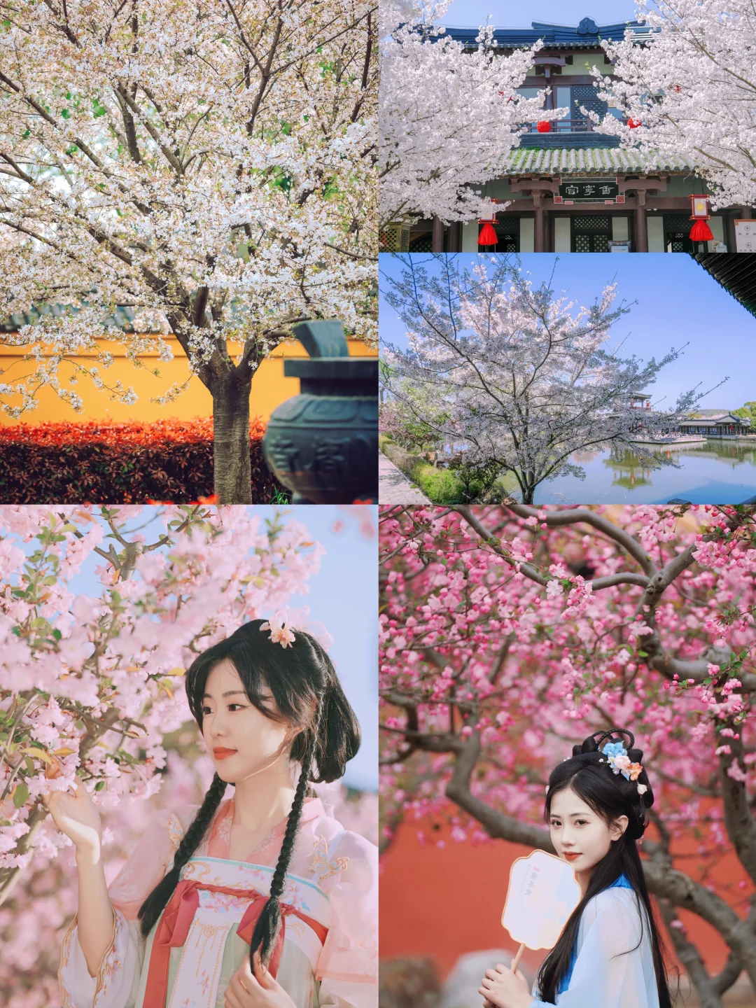 三国水浒城春日游🌸赏花+穿越🥳