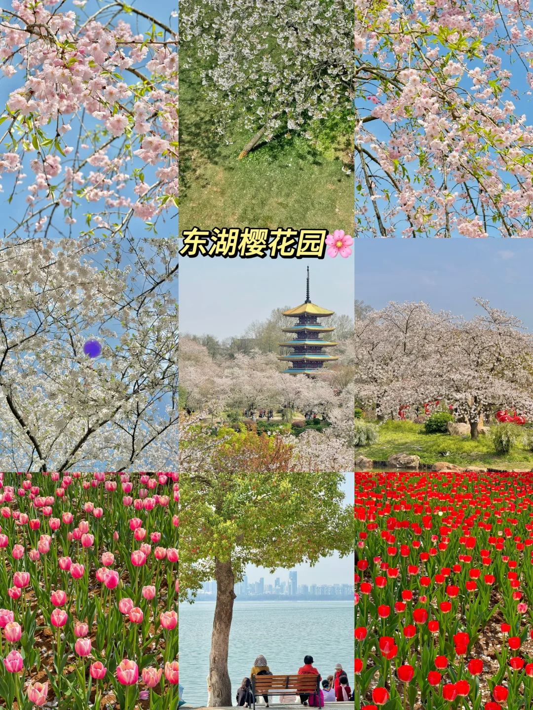 武汉已回。。。真诚提醒还未出行的😢😢😢