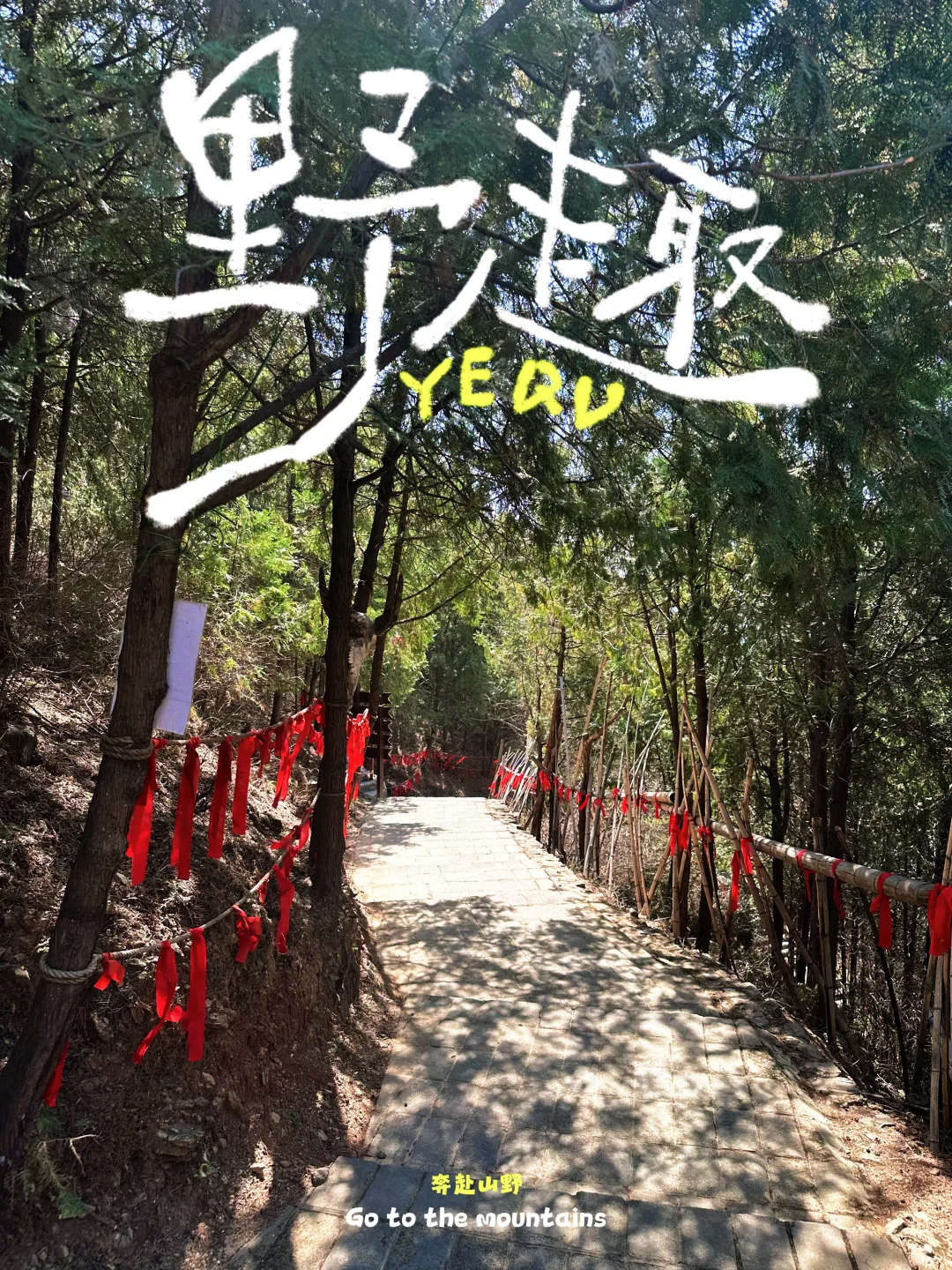 ✨每周一山｜低幼亲子徒步，不负春日好时光！