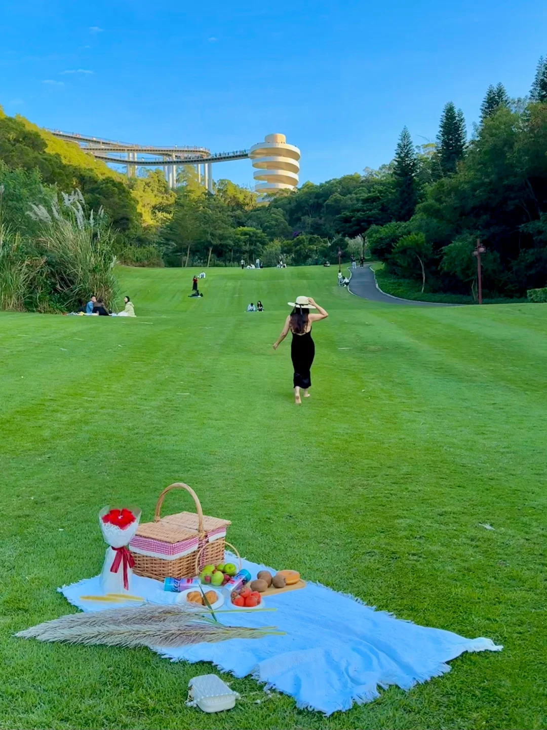 厦门最好的地方都是免费的……