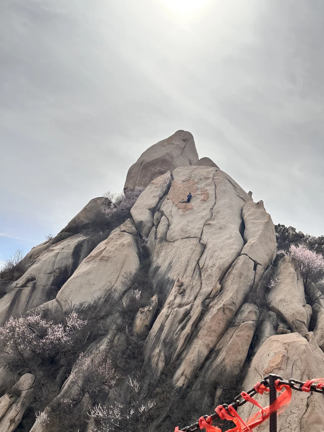 勇敢的人呀，是旅行中的一道难得的风景