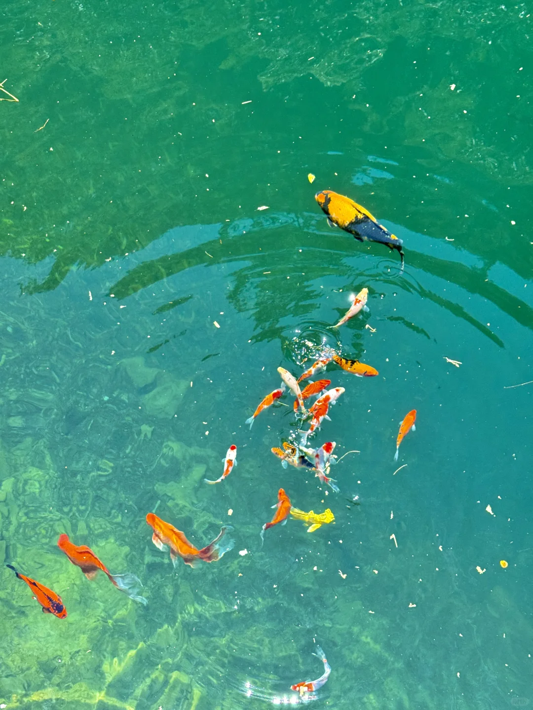 被国家地理评为最佳旅行地的宝藏小城有多绝