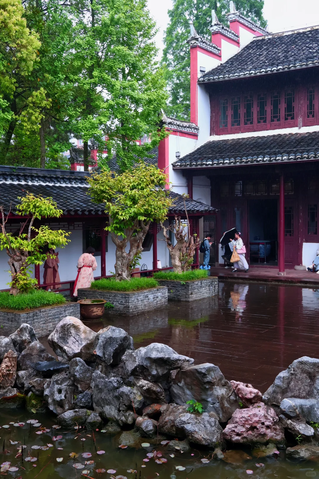 南昌春季限定景点 杏花楼🪷游玩拍照📸攻略