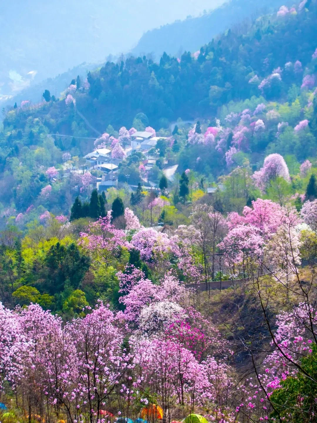 绵阳春日畅玩秘籍✨ 有它就够啦