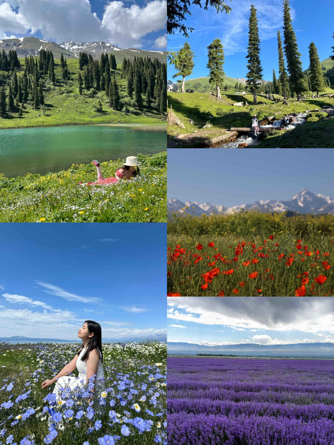 伊犁+赛里木湖8天7晚超全攻略!yyds