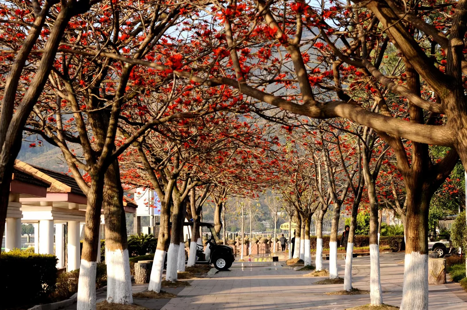 西昌最全旅游攻略