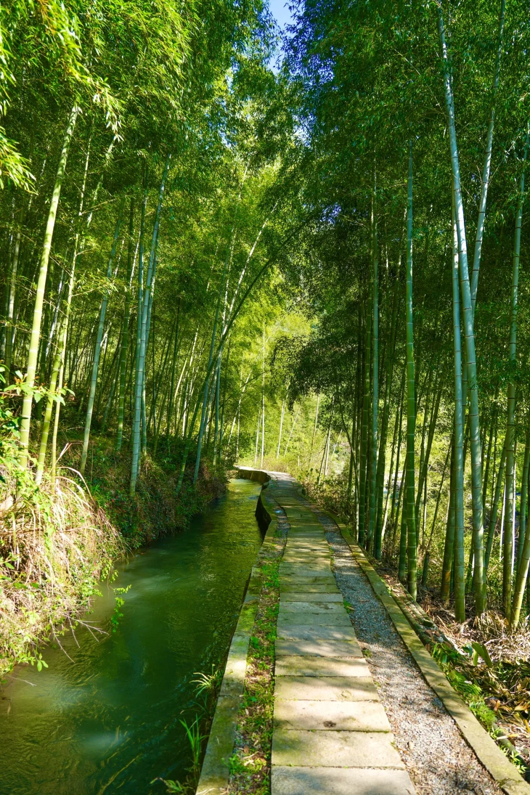 后悔为什么现在才去桐庐😭，两天一晚休闲游