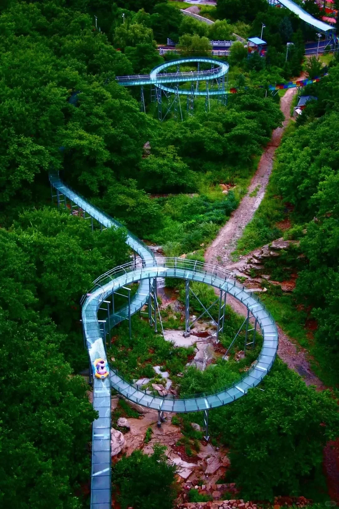 大连遛娃☞清明⛰️老帽山踏青一日游!