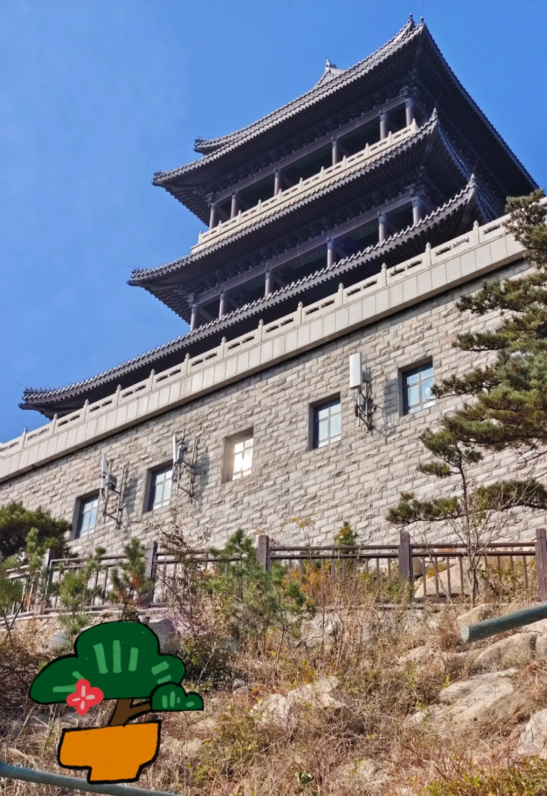 🌸天蒙山|春日限定浪漫🌸