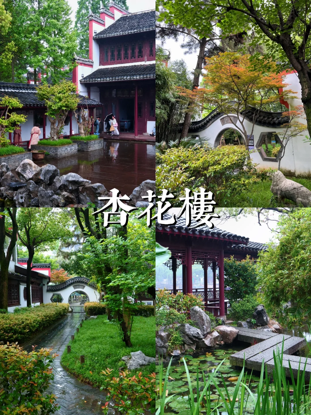 南昌春季限定景点 杏花楼🪷游玩拍照📸攻略