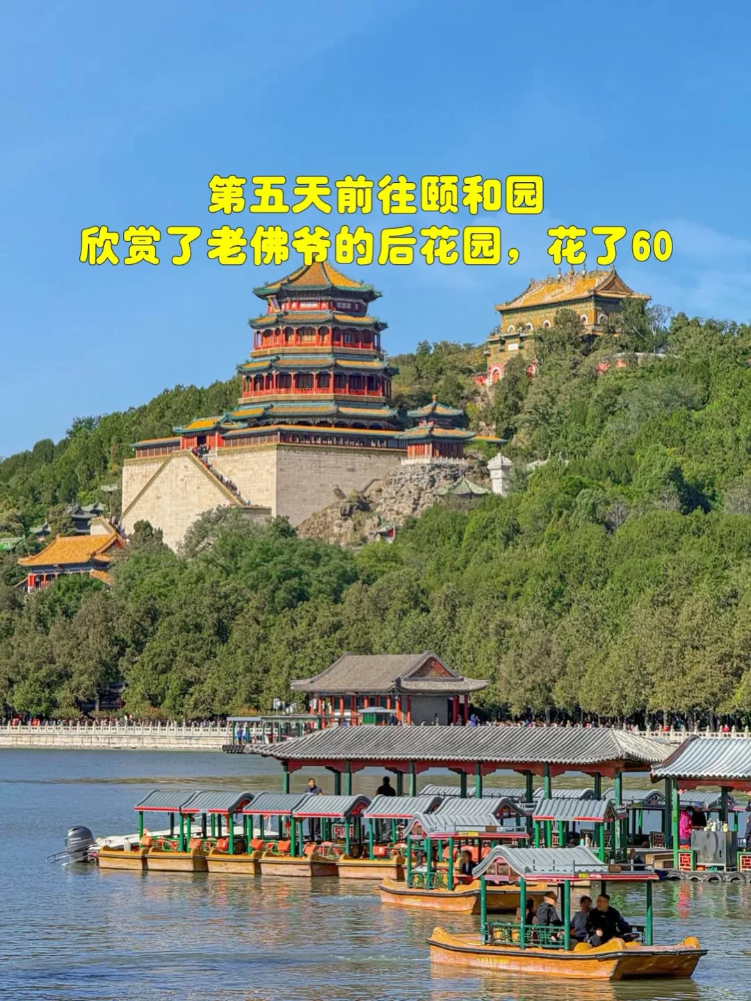 一起带爸妈去旅行吧✈️✈️
