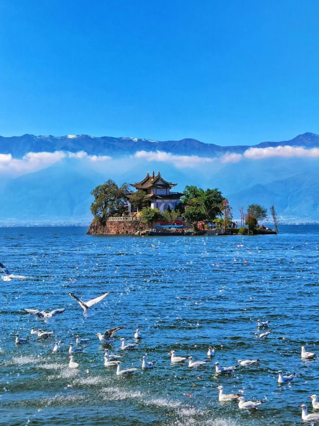 去大理吧！感受苍山洱海的风月🌊附攻略