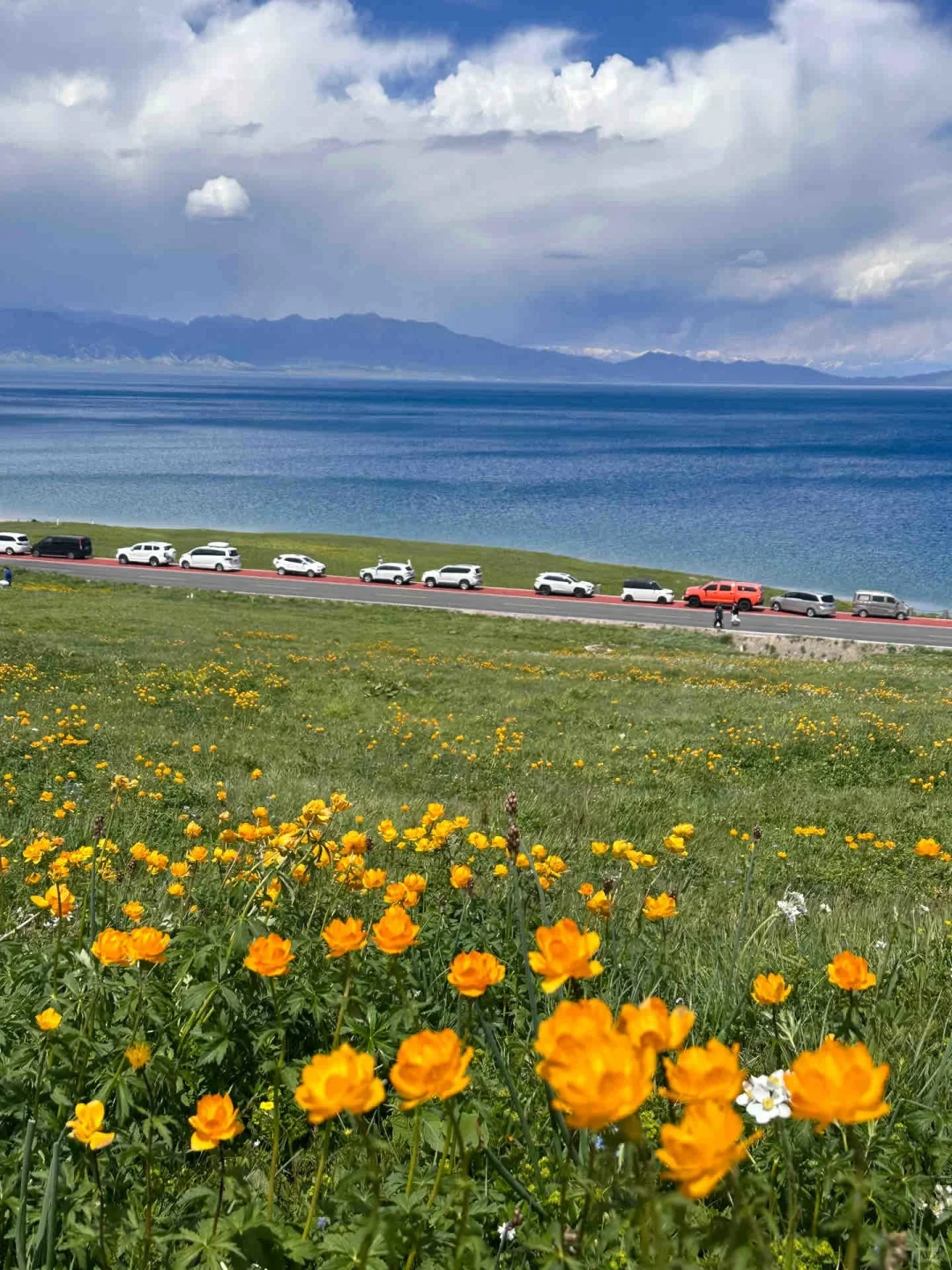 伊犁+赛里木湖8天7晚超全攻略!yyds