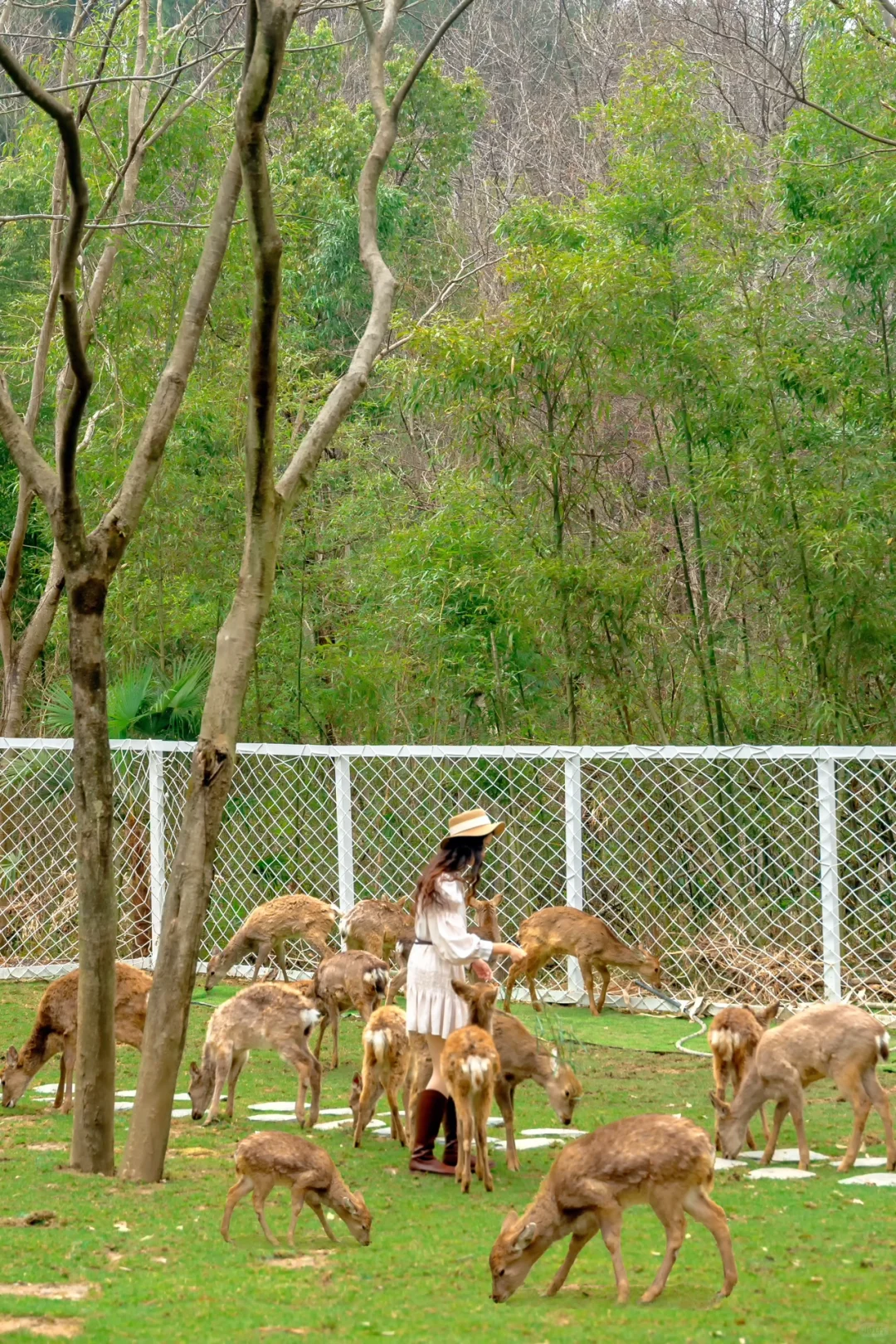 被国家地理评为最佳旅行地的宝藏小城有多绝