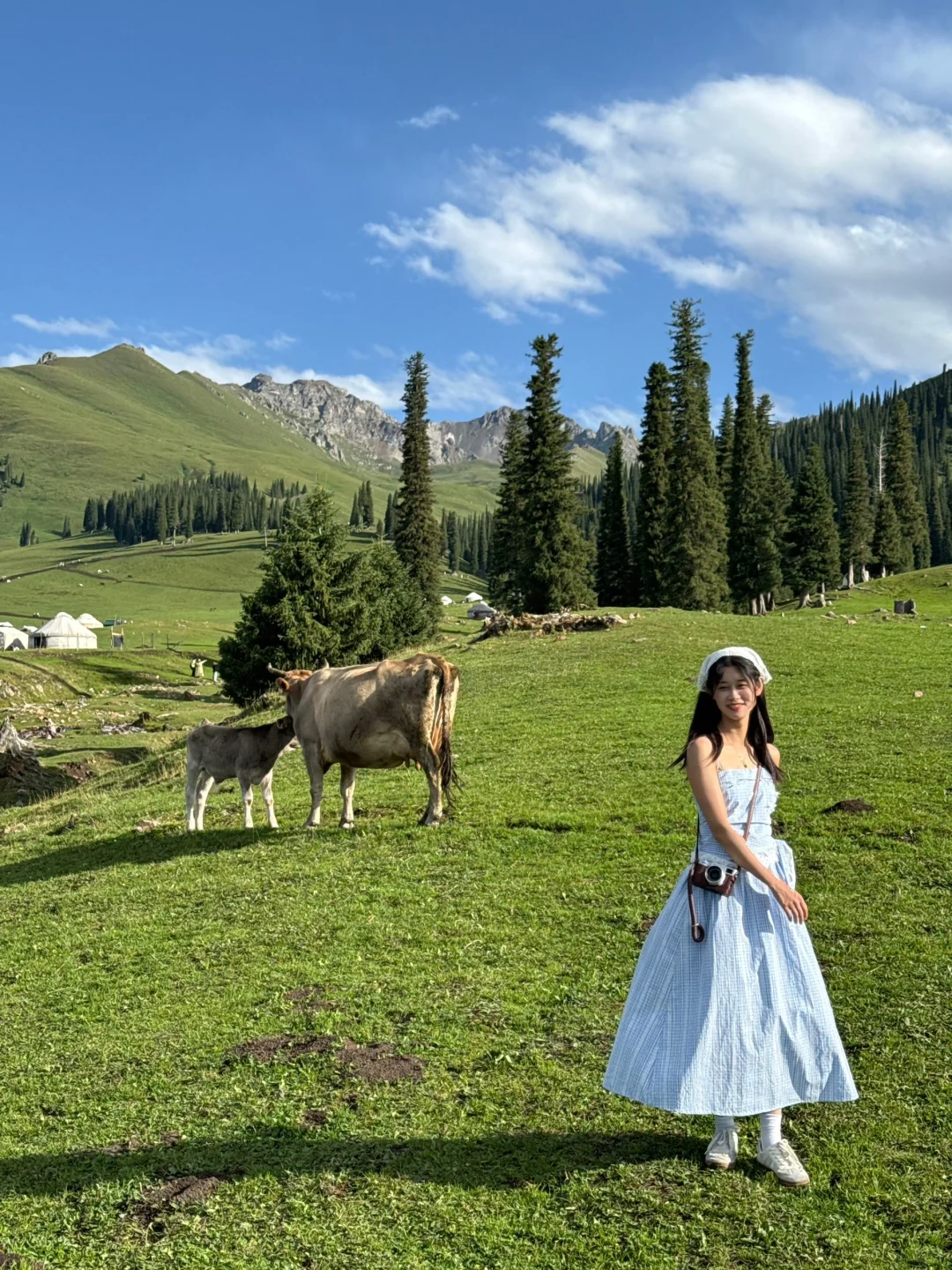 新疆报团大实话，大家听劝！！