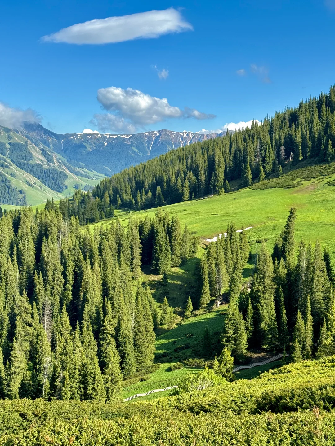 就现在！梦里的场景出现了！赛里木湖live