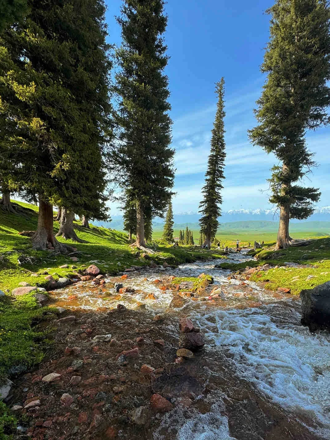 伊犁+赛里木湖8天7晚超全攻略!yyds