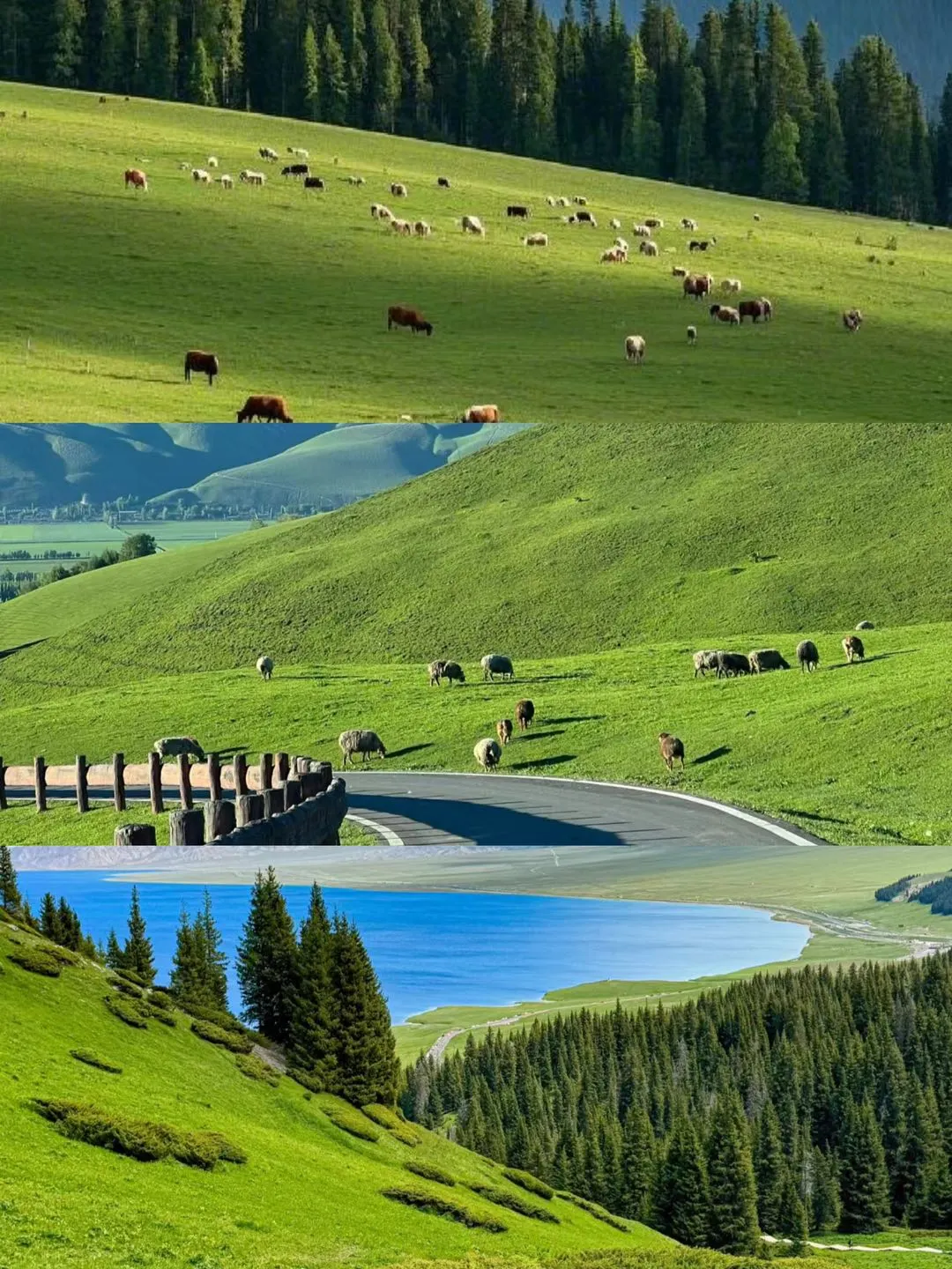 【北疆旅游全攻略】收藏这篇就够了😭