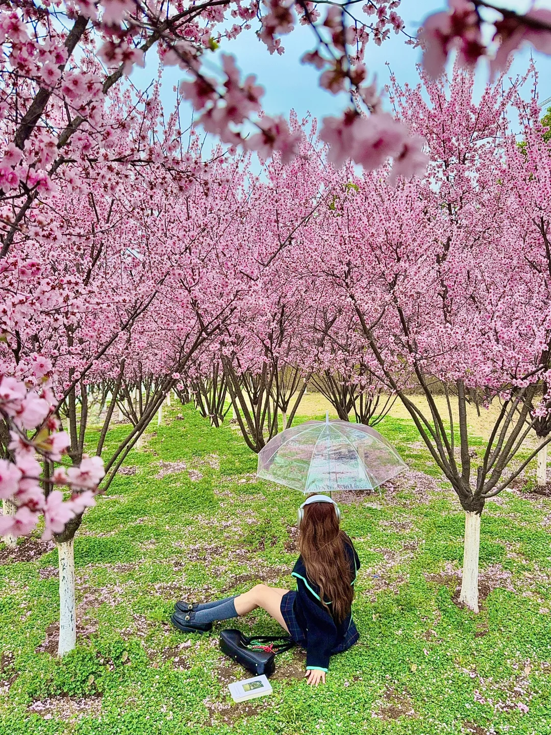 南京。。。果然最牛逼的地方都是免费的（附地址