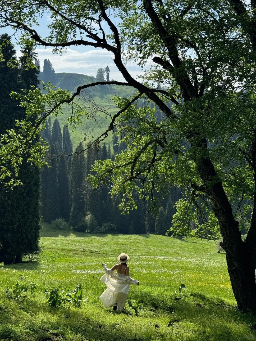 伊犁同款那拉提跟拍