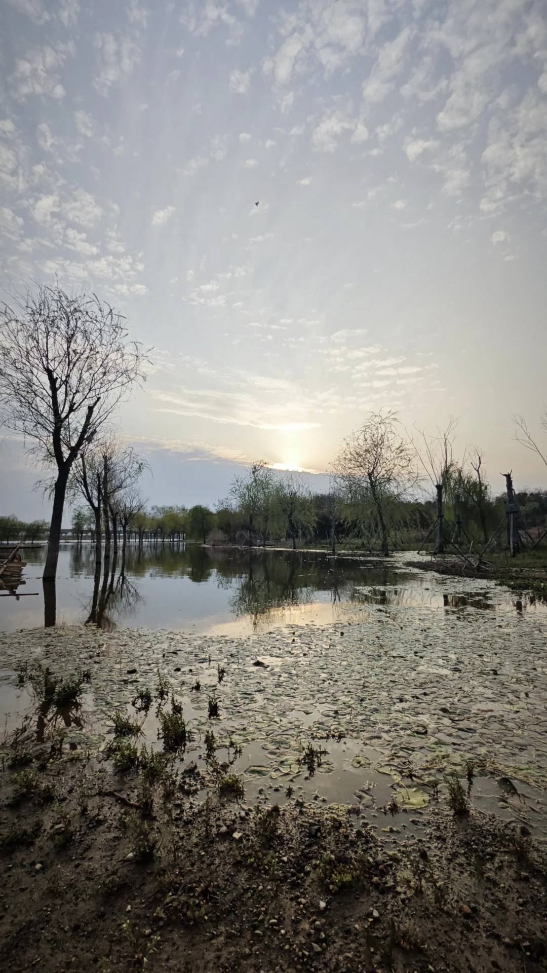 这里远离喧嚣，反而多了一份纯净和灵气