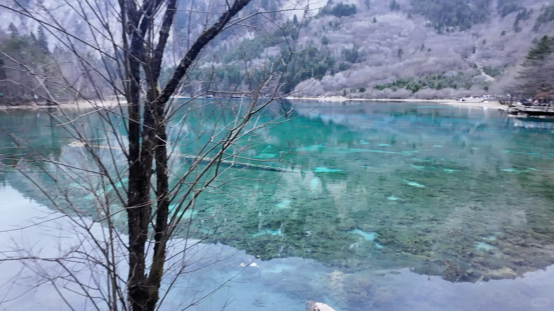 九寨沟是真的好看