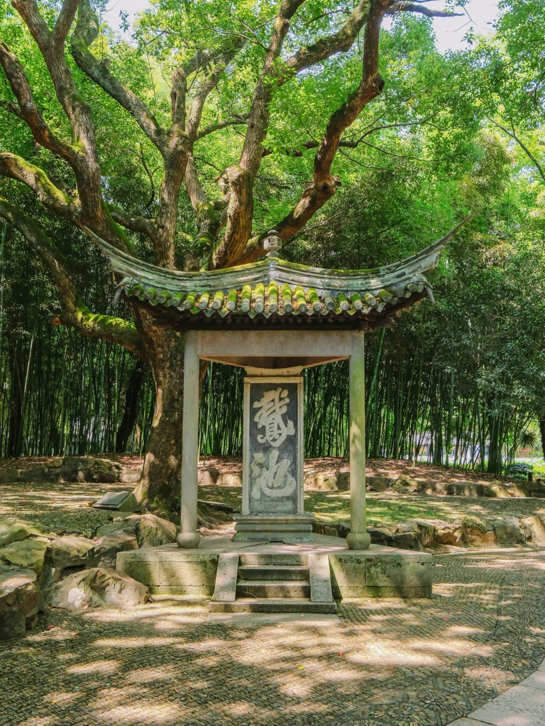 比起苏杭，我更爱这个低调的梦中江南‼️