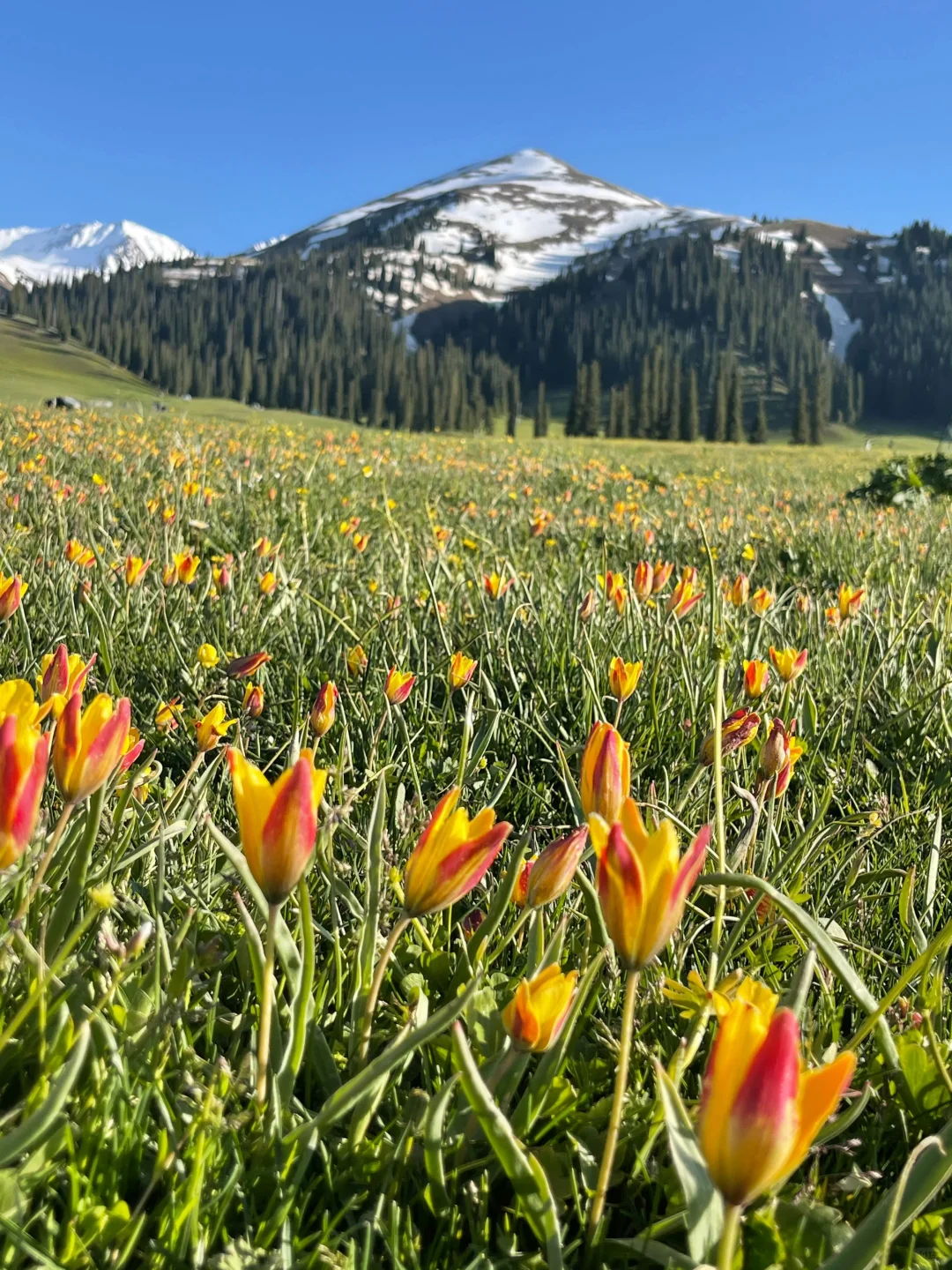新疆报团大实话，大家听劝！！