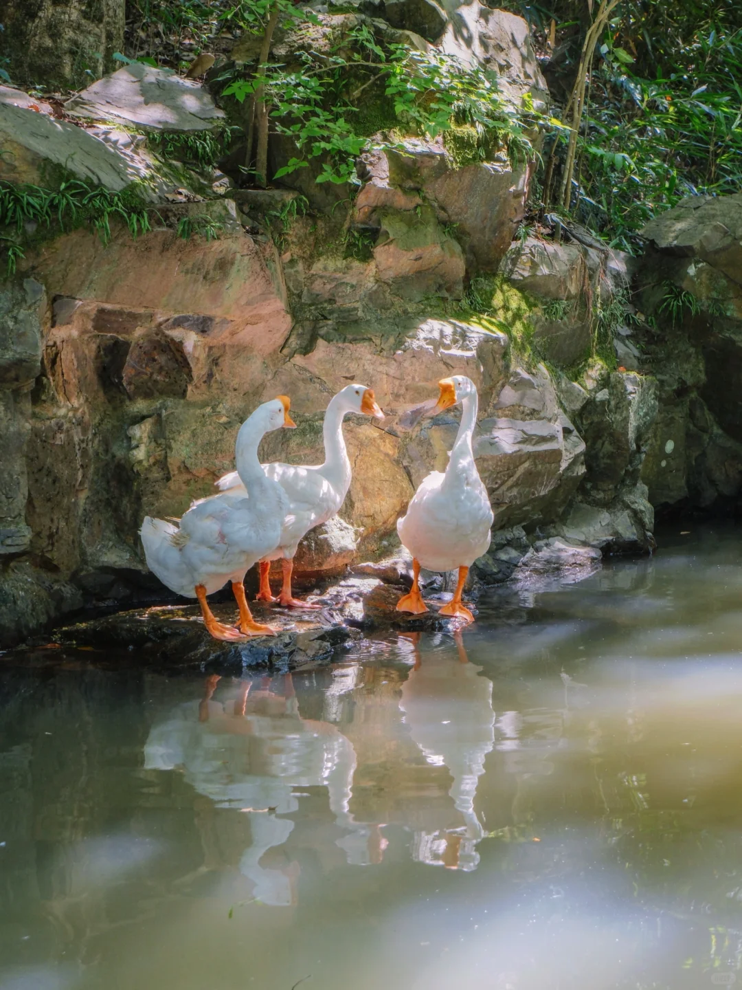 比起苏杭，我更爱这个低调的梦中江南‼️