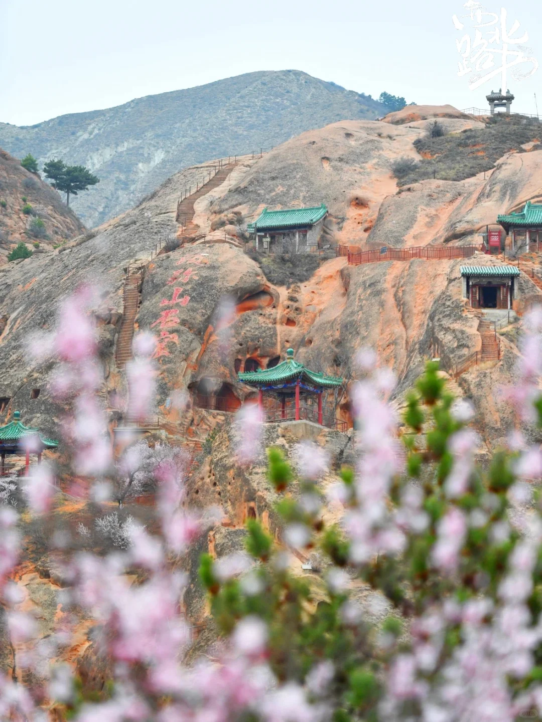 六盘山春日限定浪漫 闭眼冲 !!!
