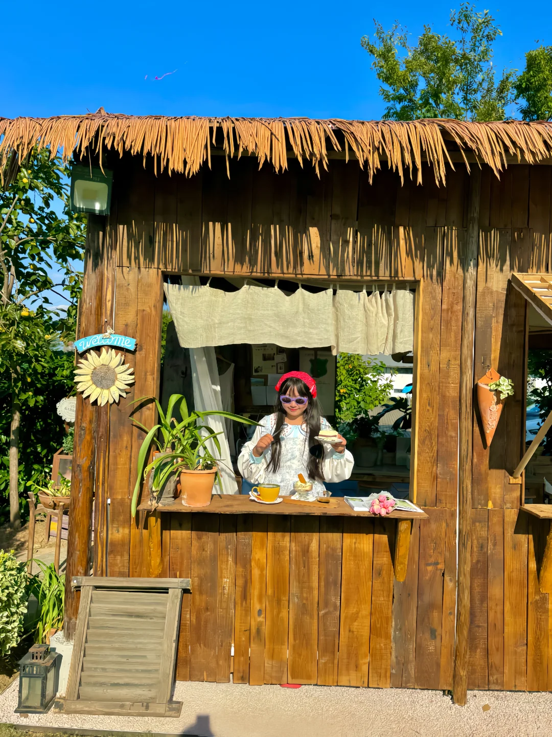 不是清迈！没去大理！这是南京…live😭