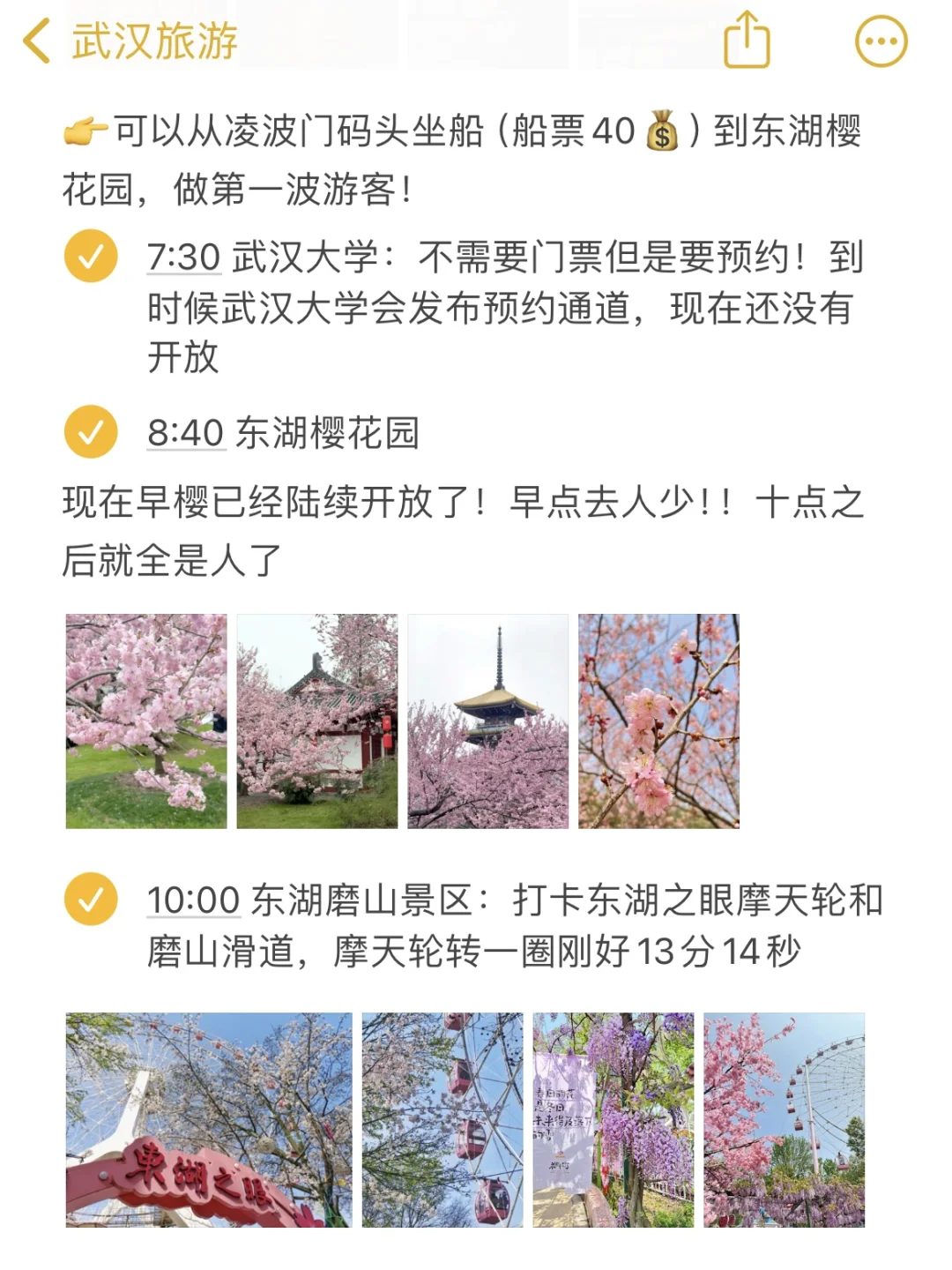 对自己做的武汉🌸攻略满意得睡不着…