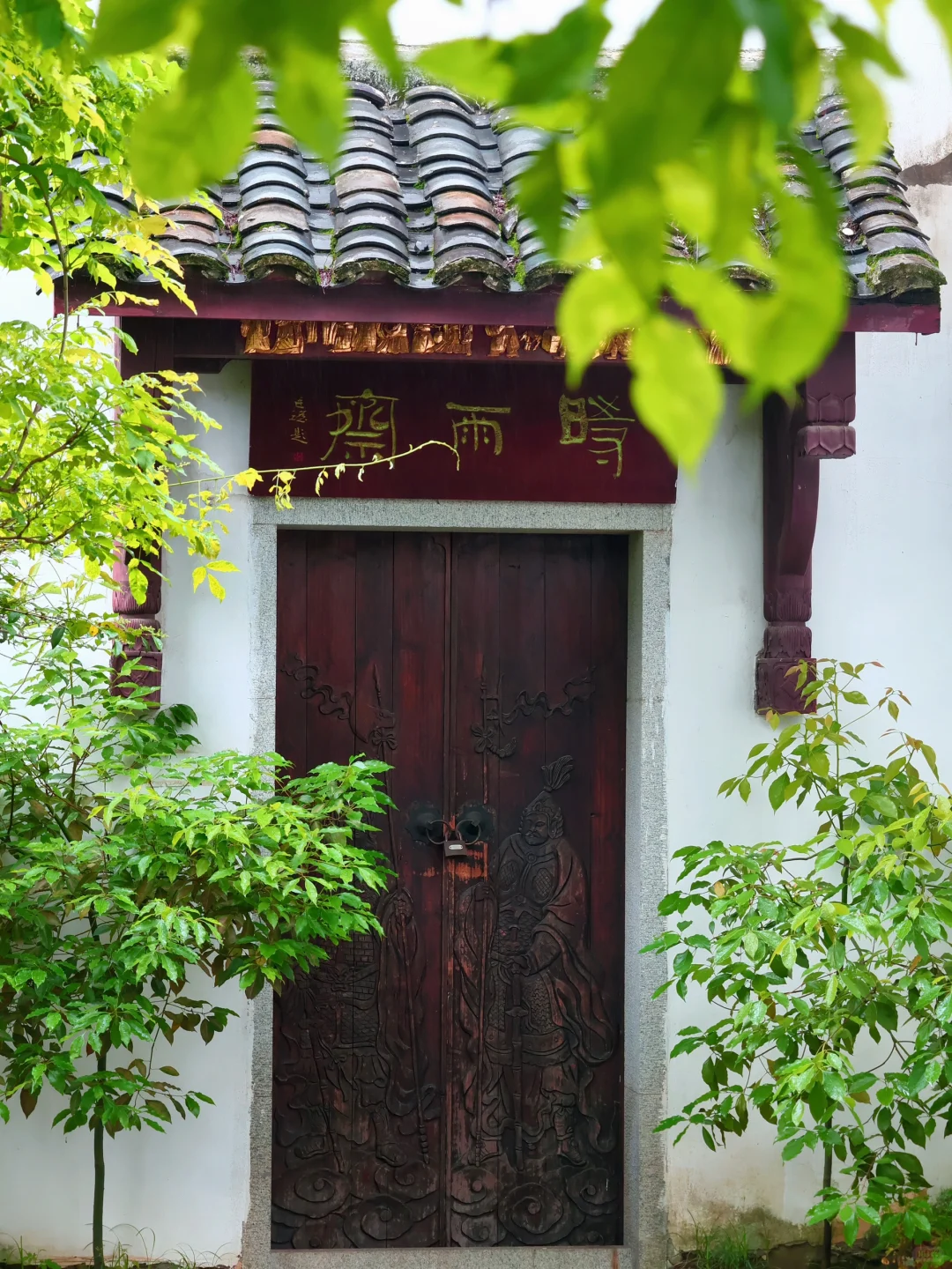 南昌春季限定景点 杏花楼🪷游玩拍照📸攻略