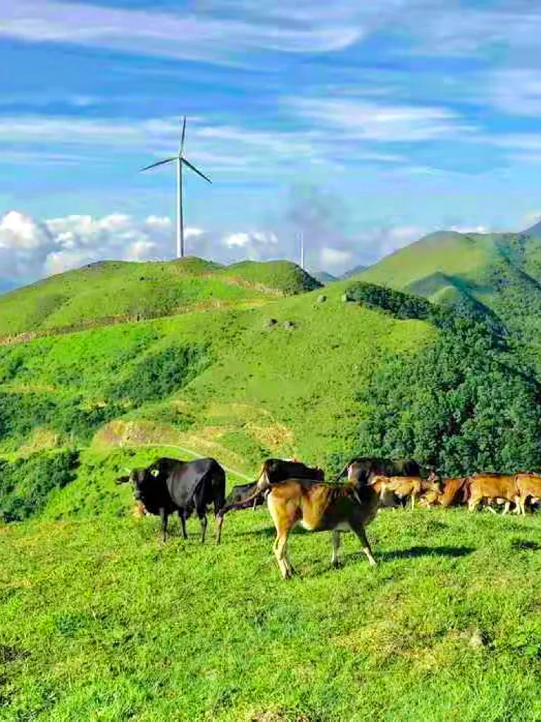真的在广东！我走过最舒服的高山草甸徒步线