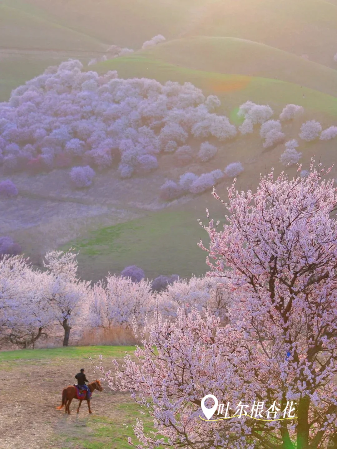 即将解封📍强推伊犁那拉提这个神级景点😭