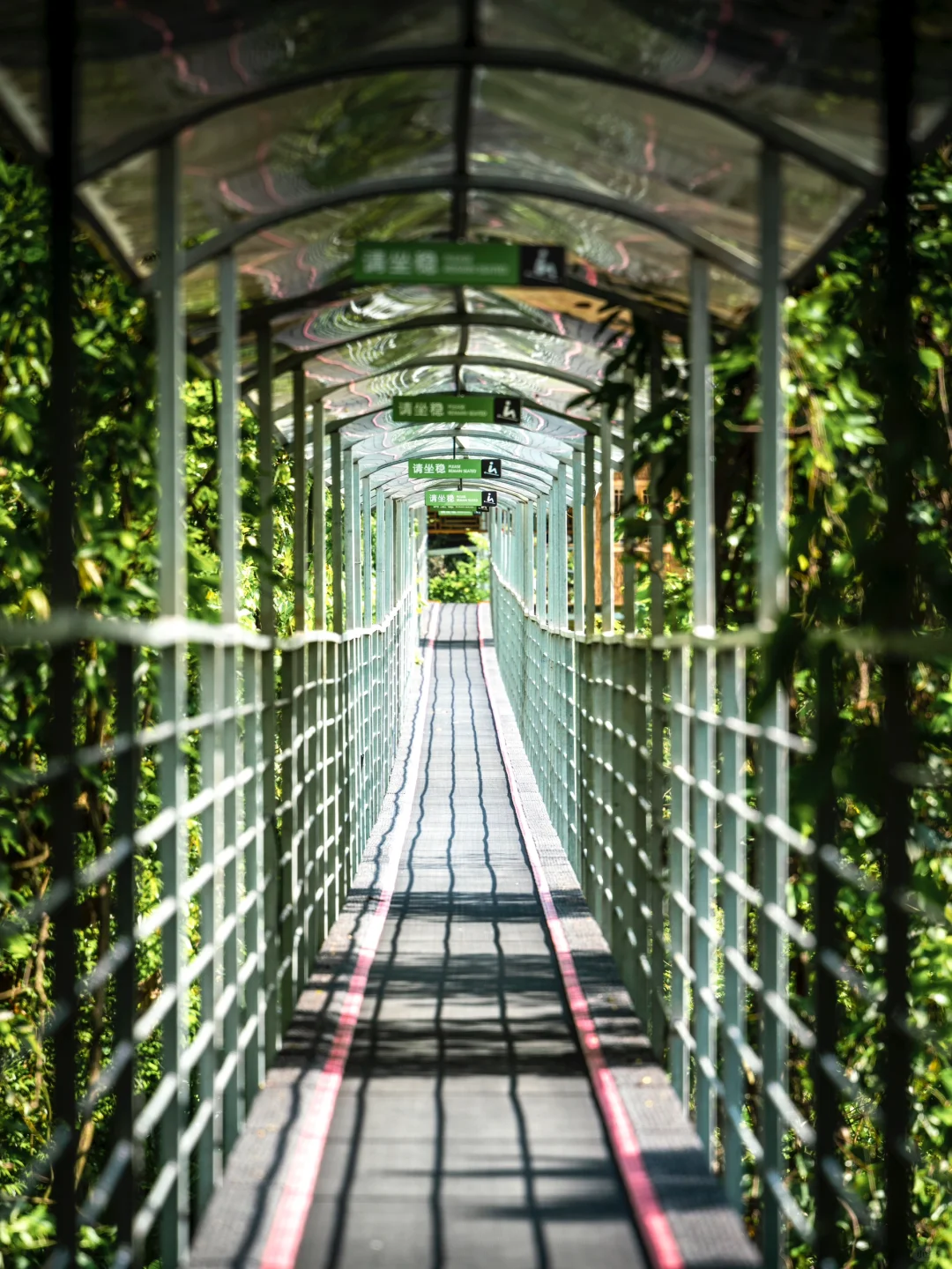 杭州隐藏在喀斯特地貌山谷中的地下河乐园🛶