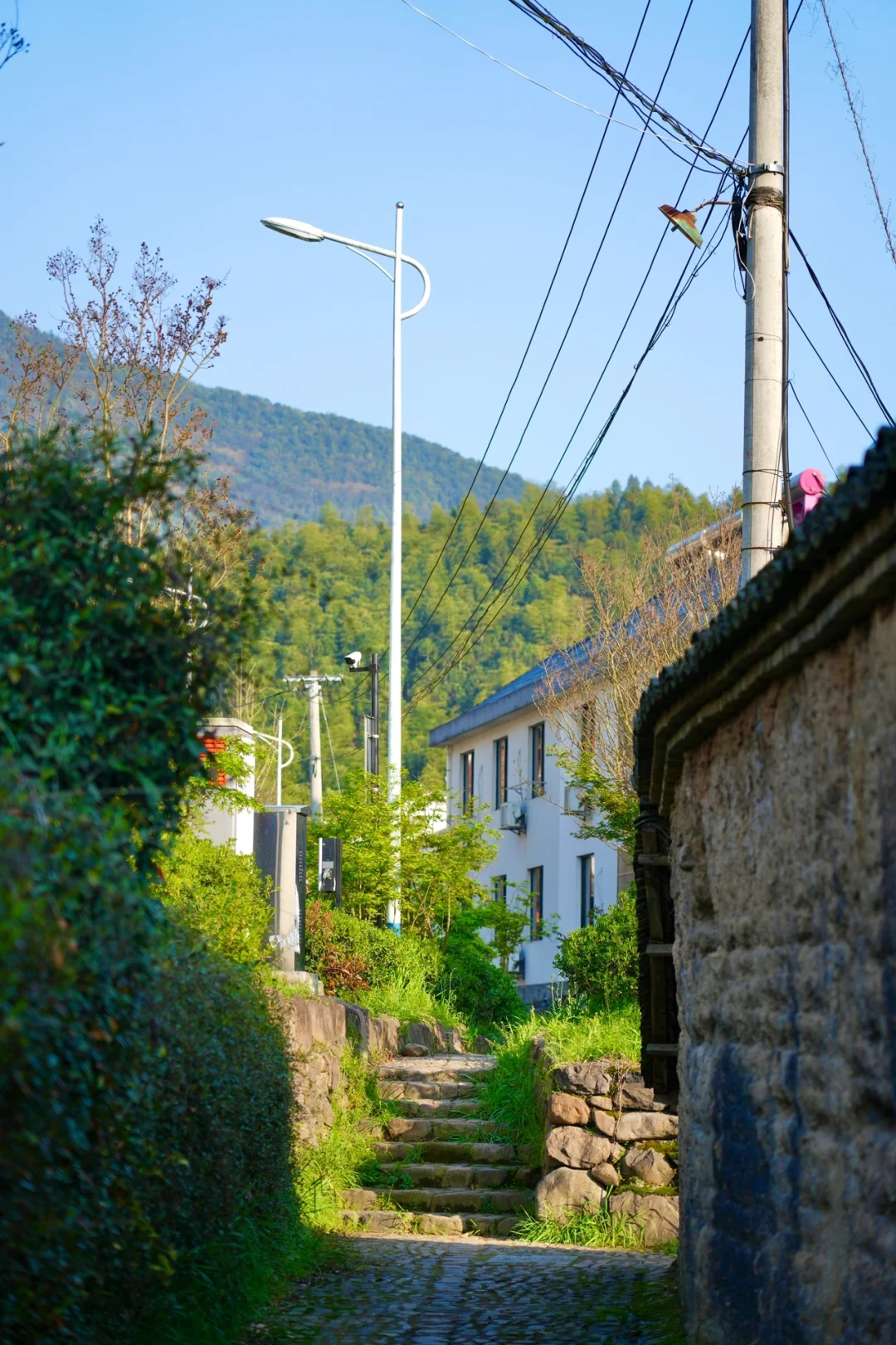 后悔为什么现在才去桐庐😭，两天一晚休闲游